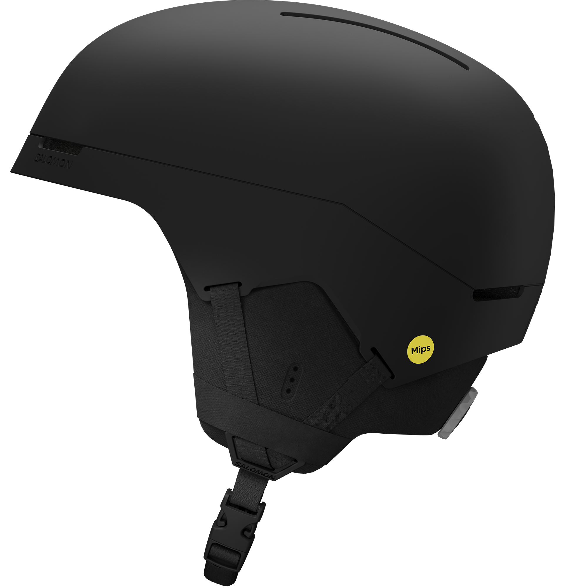 BRIGADE INDEX MIPS