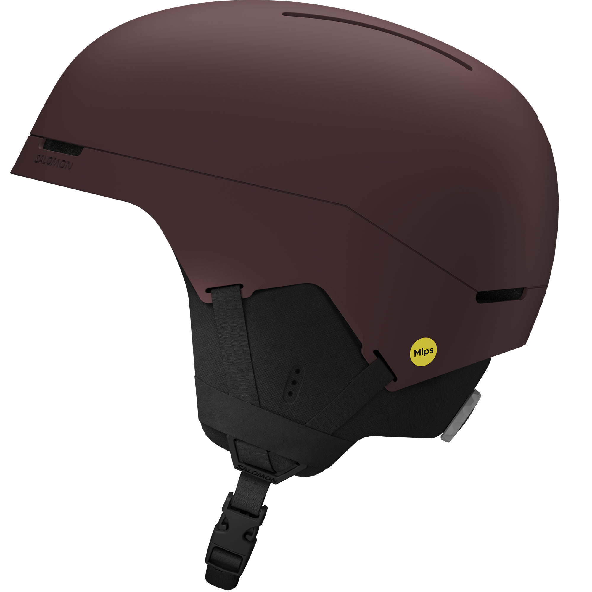 BRIGADE INDEX MIPS