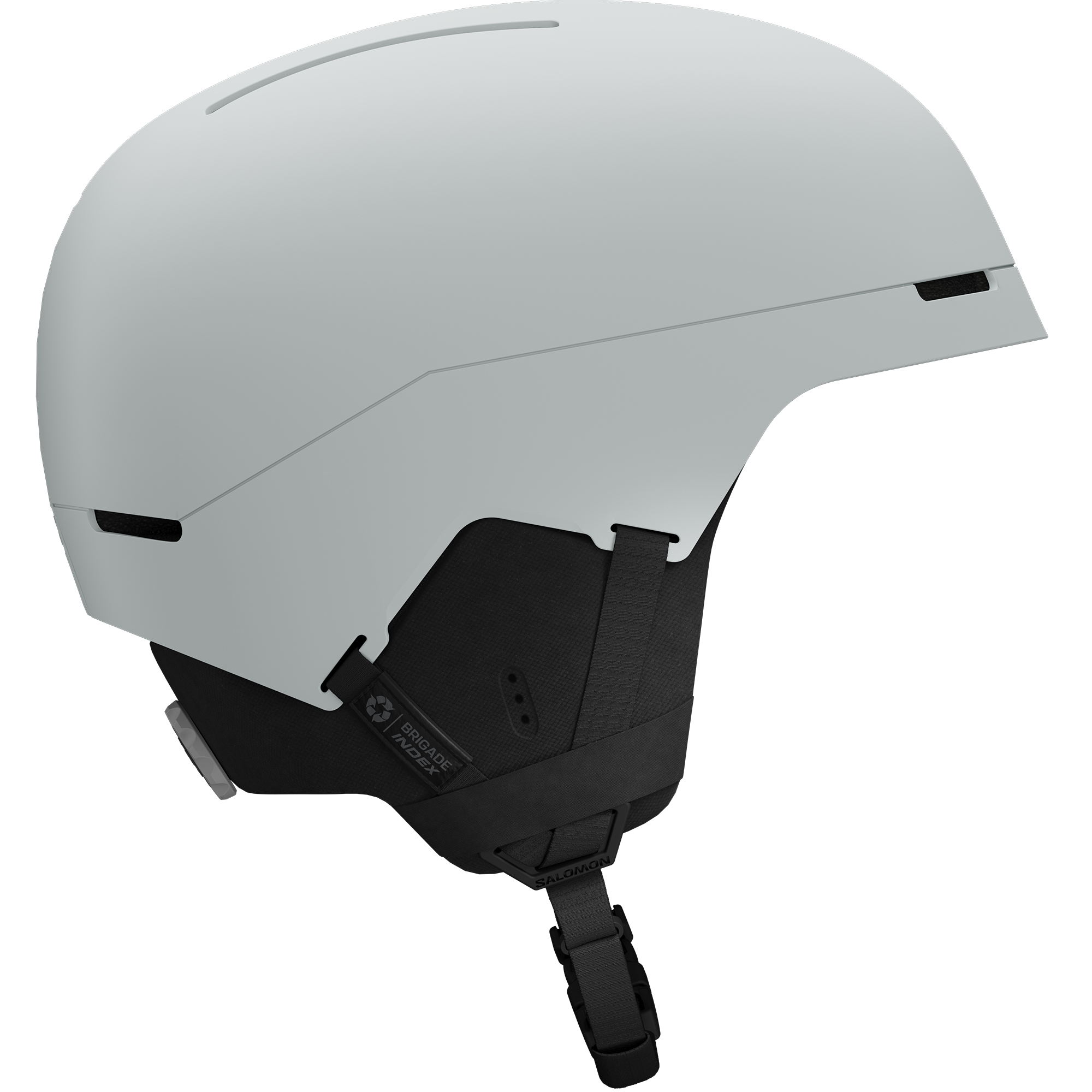 BRIGADE INDEX MIPS