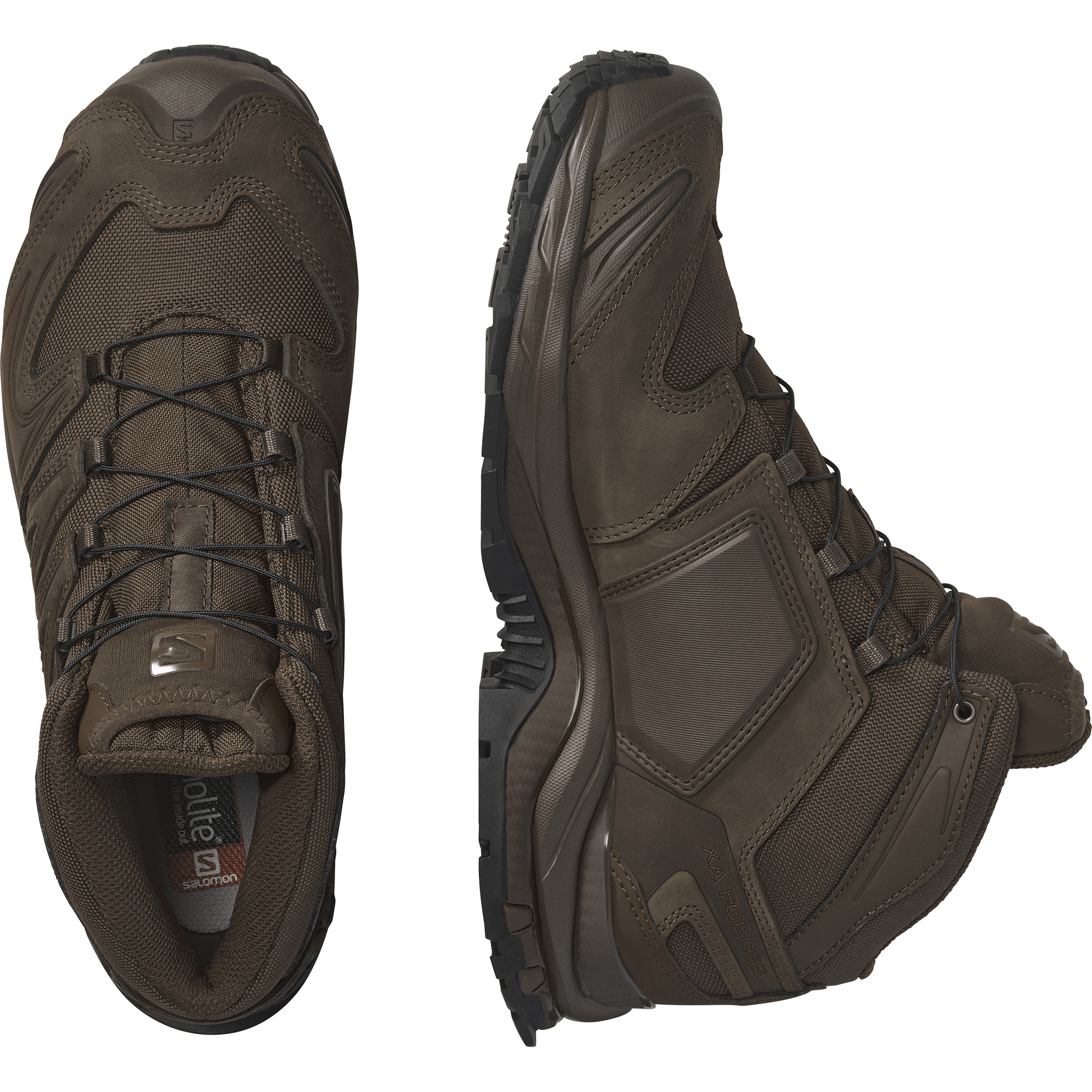 XA FORCES MID EN