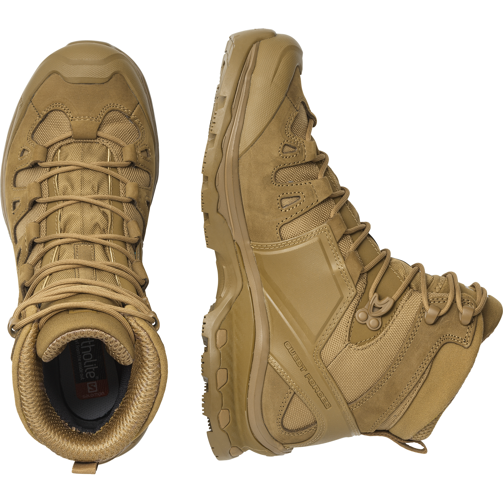 QUEST 4D FORCES 2