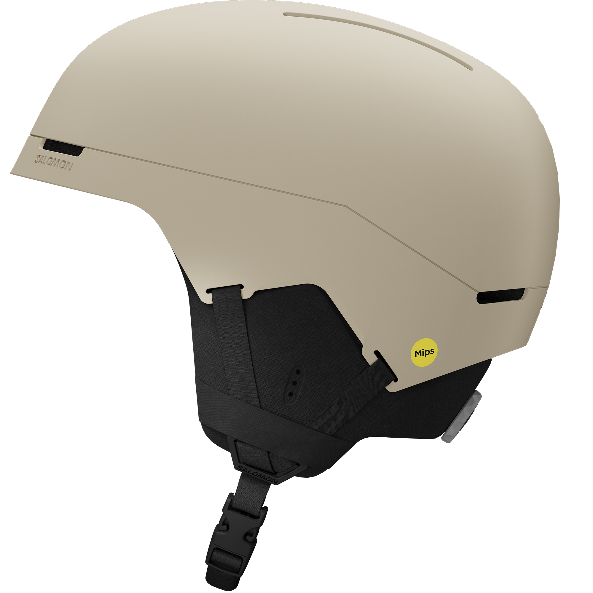 BRIGADE INDEX MIPS
