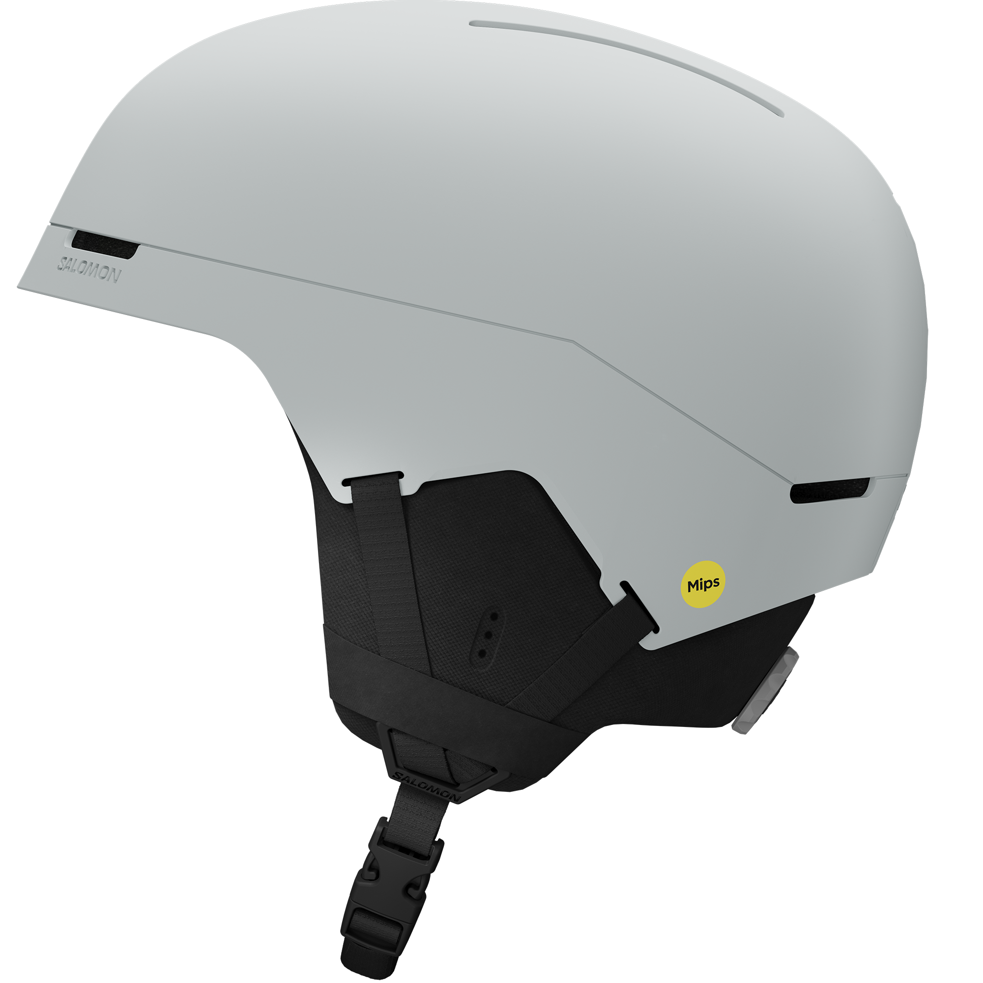 BRIGADE INDEX MIPS